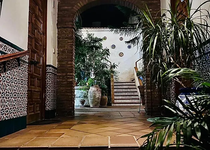 Ruz * Кордова